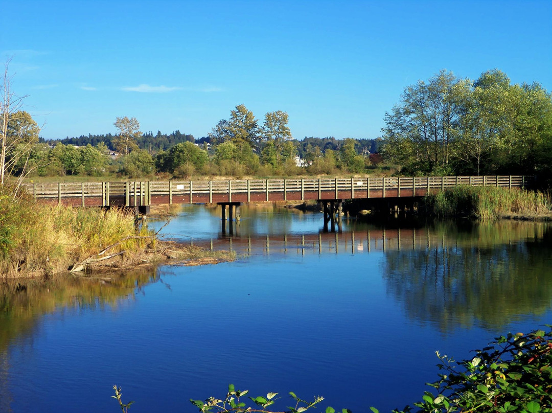 Spencer Island Park景点图片