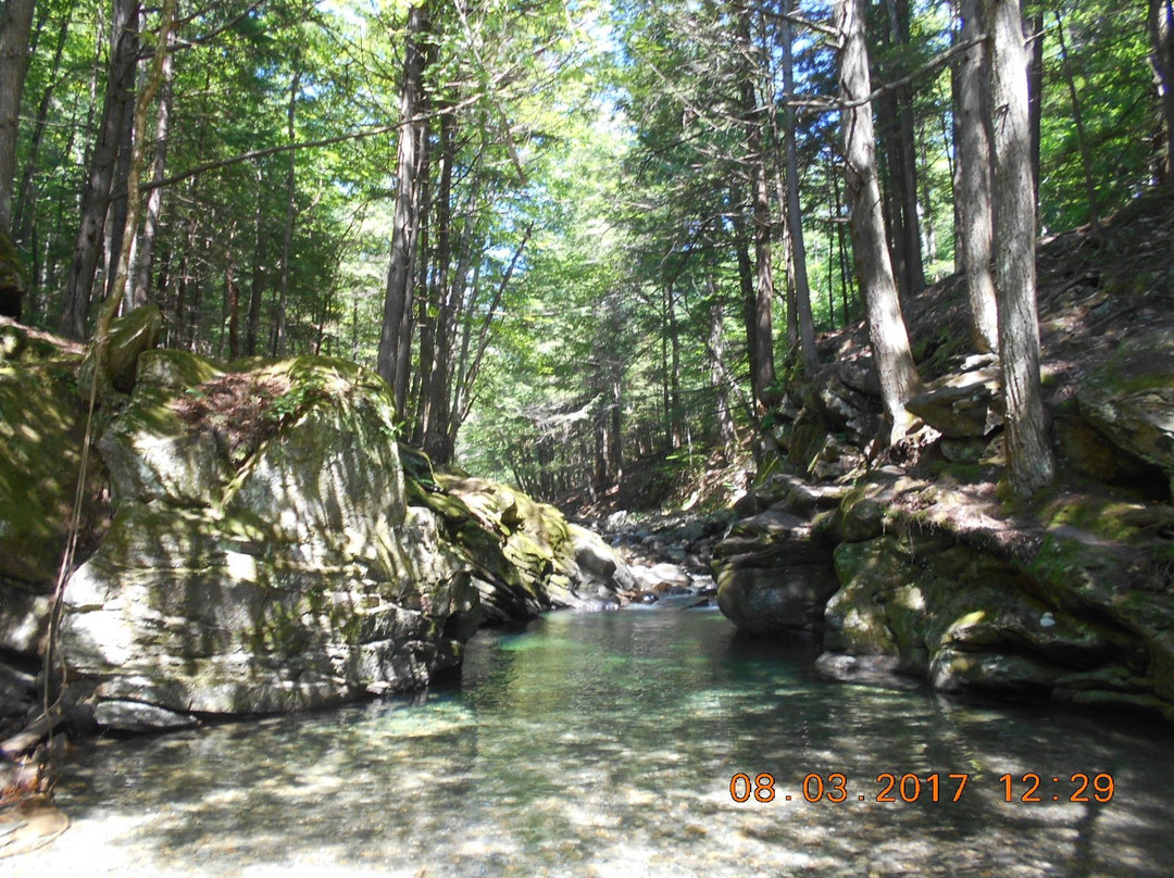 20 Foot Swimming Hole