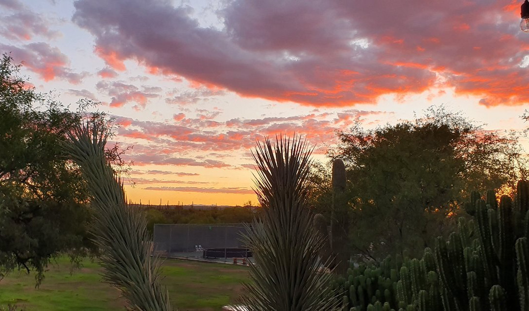 Tanque Verde Ranch-图森必去景点