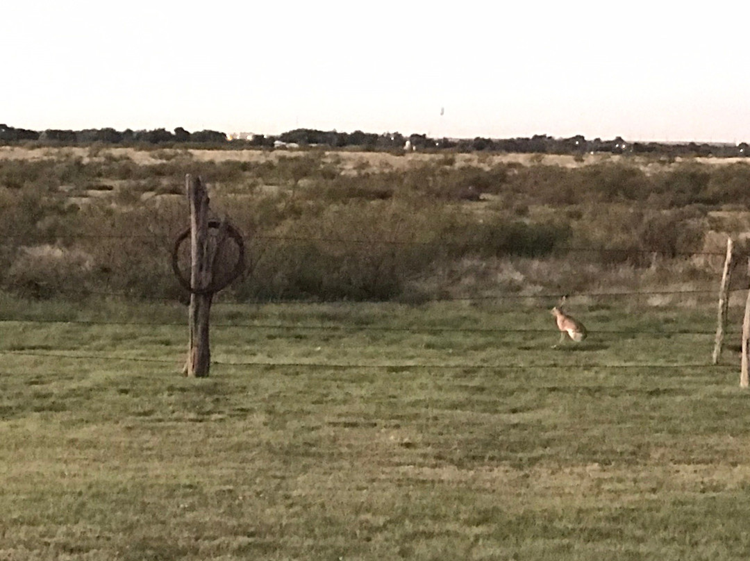 Plains旅游攻略图片