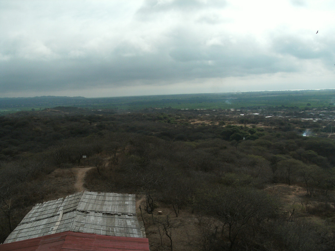 Tumbes旅游景点-Parque Ecologico Palo Santo