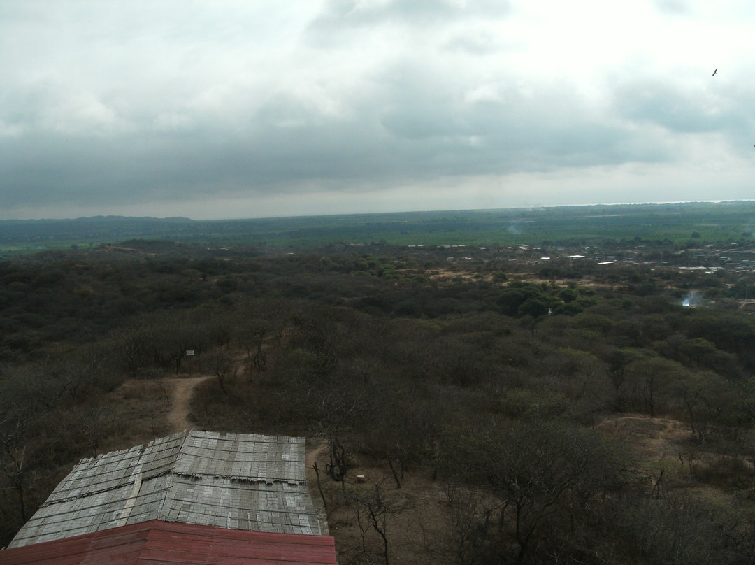 Parque Ecologico Palo Santo景点图片