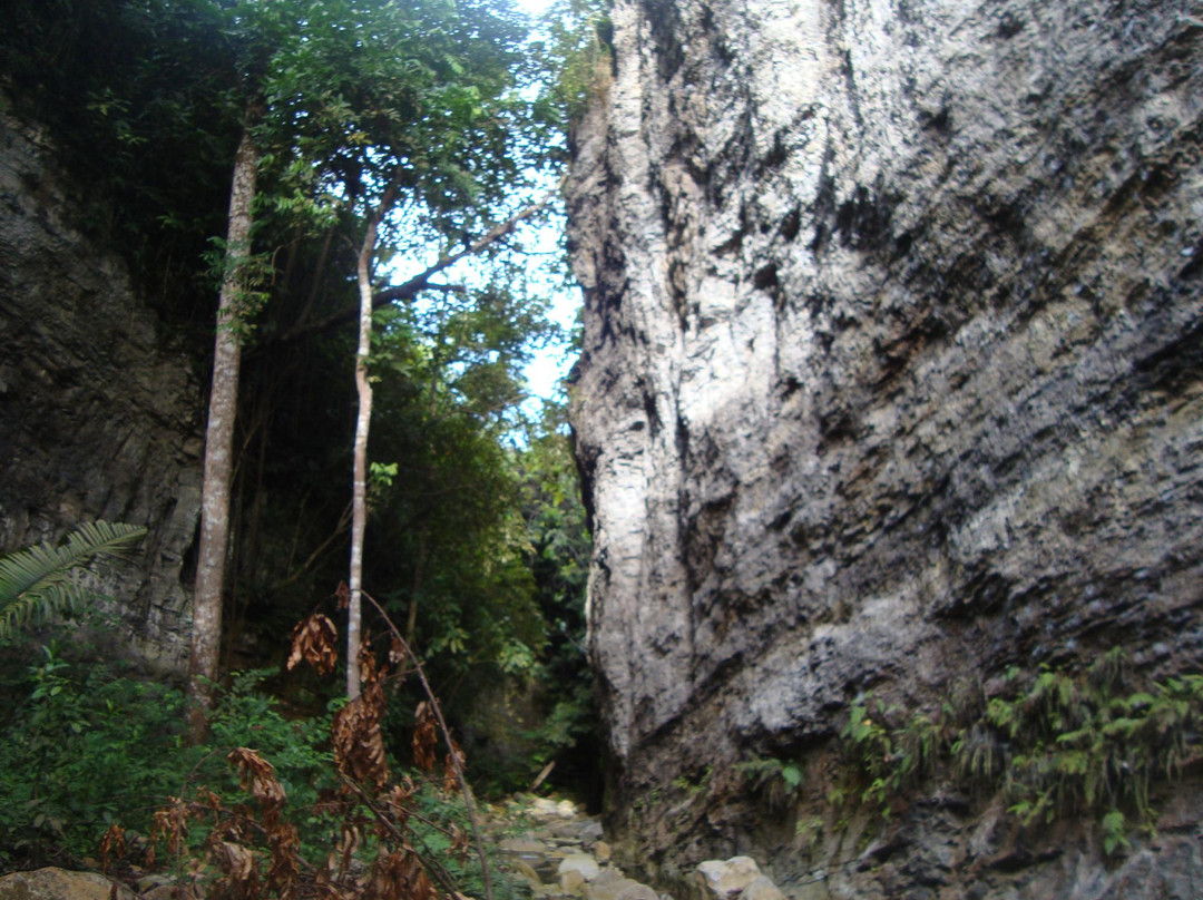 Moyas del Poira San Luis Tolima景点图片