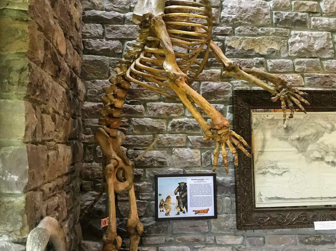 Celtic and Prehistoric Museum-凯里郡必去景点
