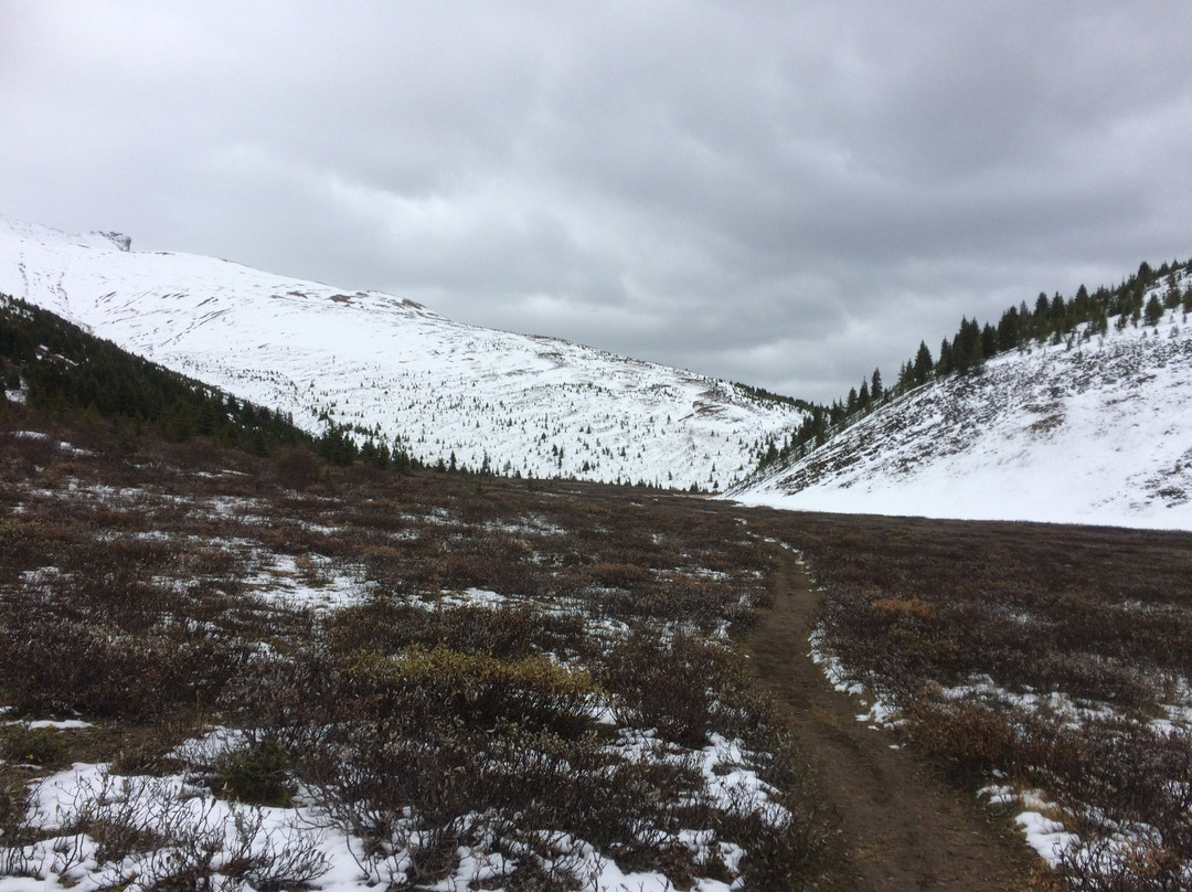 Opal Hills-贾斯珀必去景点