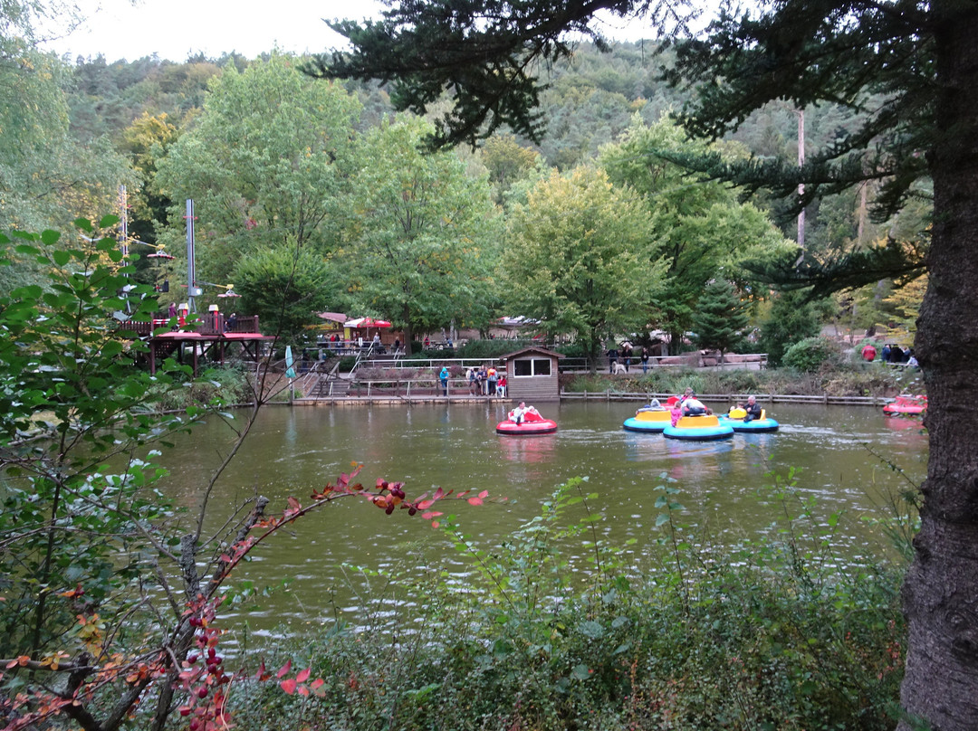 Kurpfalz-Park Wachenheim景点图片