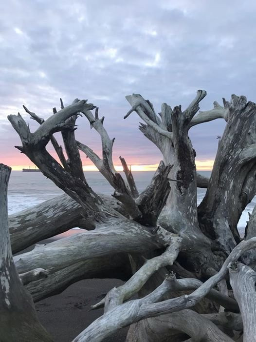 Ocean Shores Convention Center景点图片