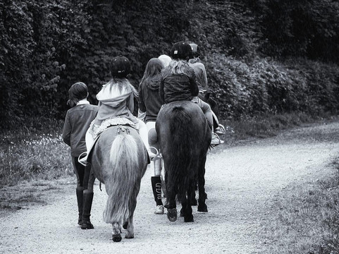 The Stables at Northeast Georgia-Carnesville必去景点
