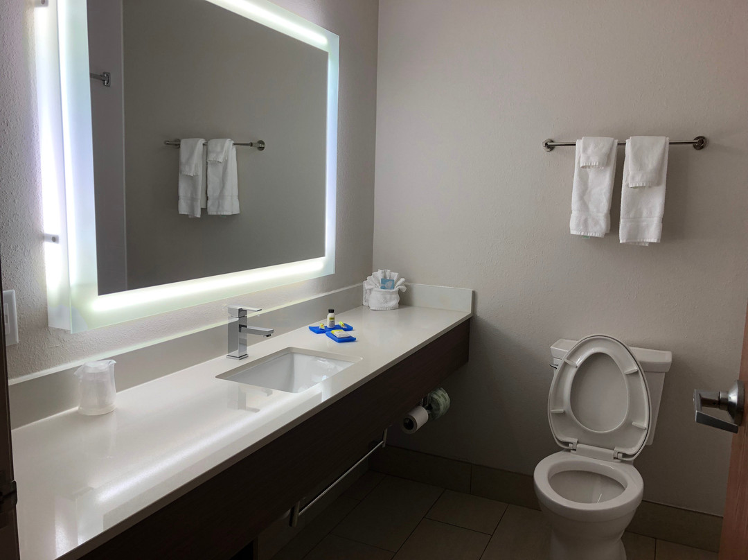 Holiday Inn Express & Suites Fleming Island By IHG主图