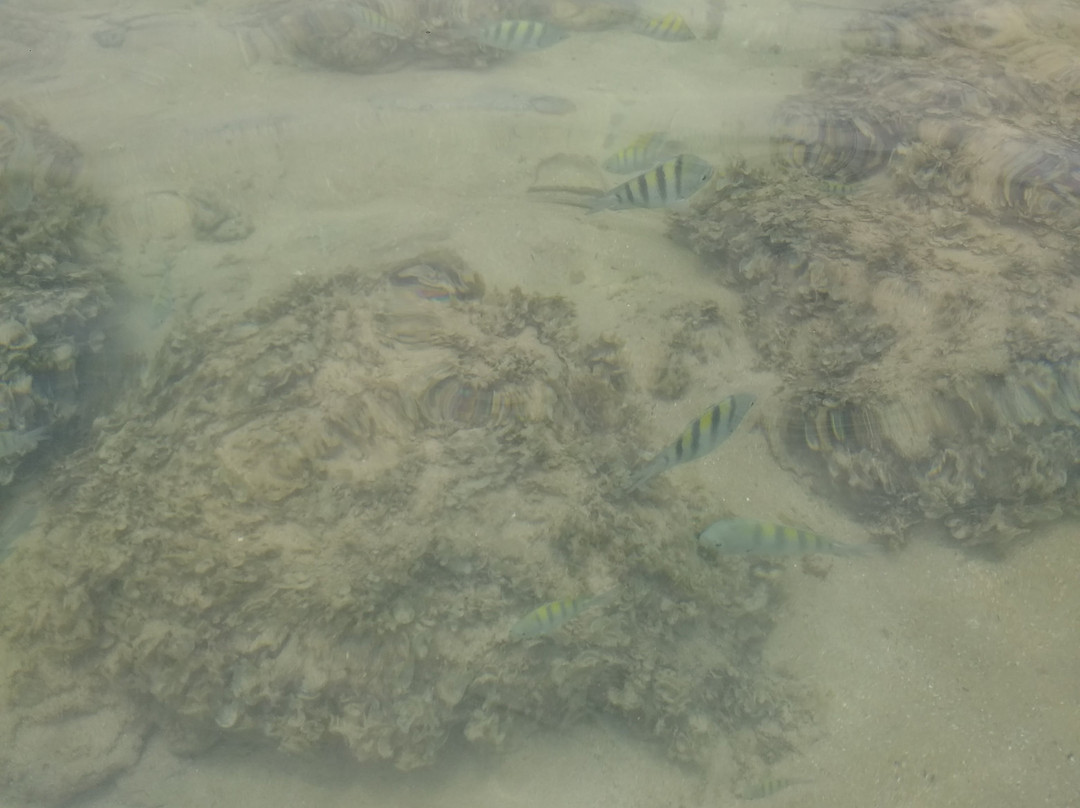 Cupe beach-嘎林海斯港必去景点