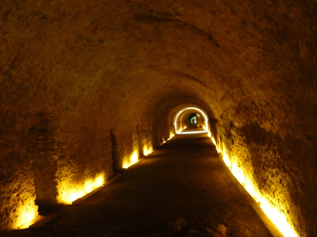 Torre del Pretorio Romana景点图片