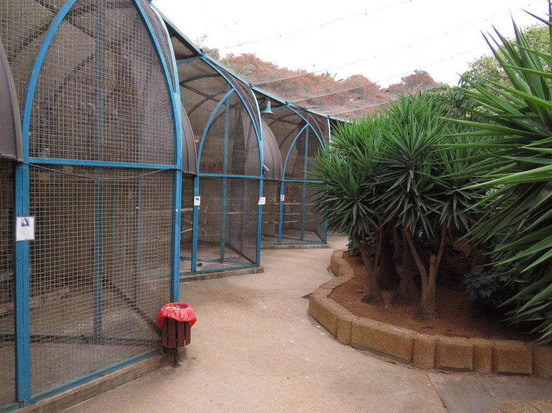 Petah Tikva Zoo景点图片
