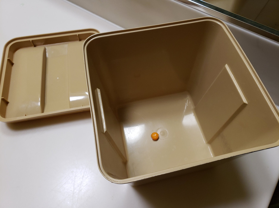 Super 8 by Wyndham Oceanside Marty's Valley Inn