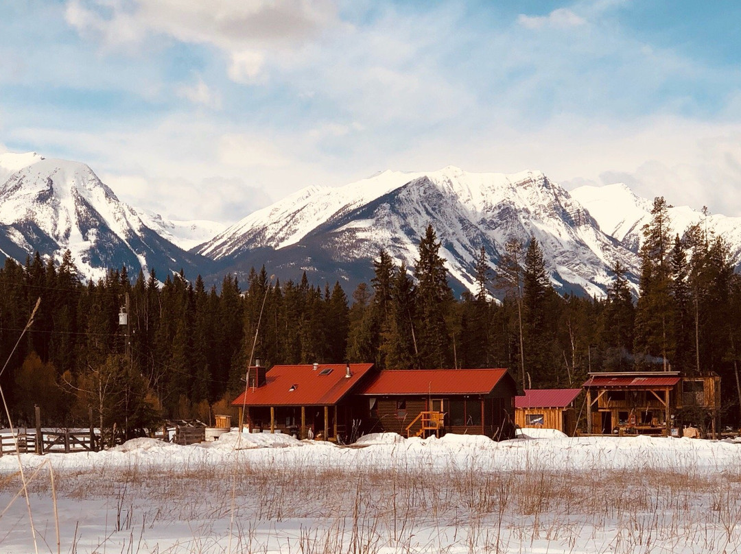 Rocky Mountain Buffalo Ranch & Guest Cabins景点图片