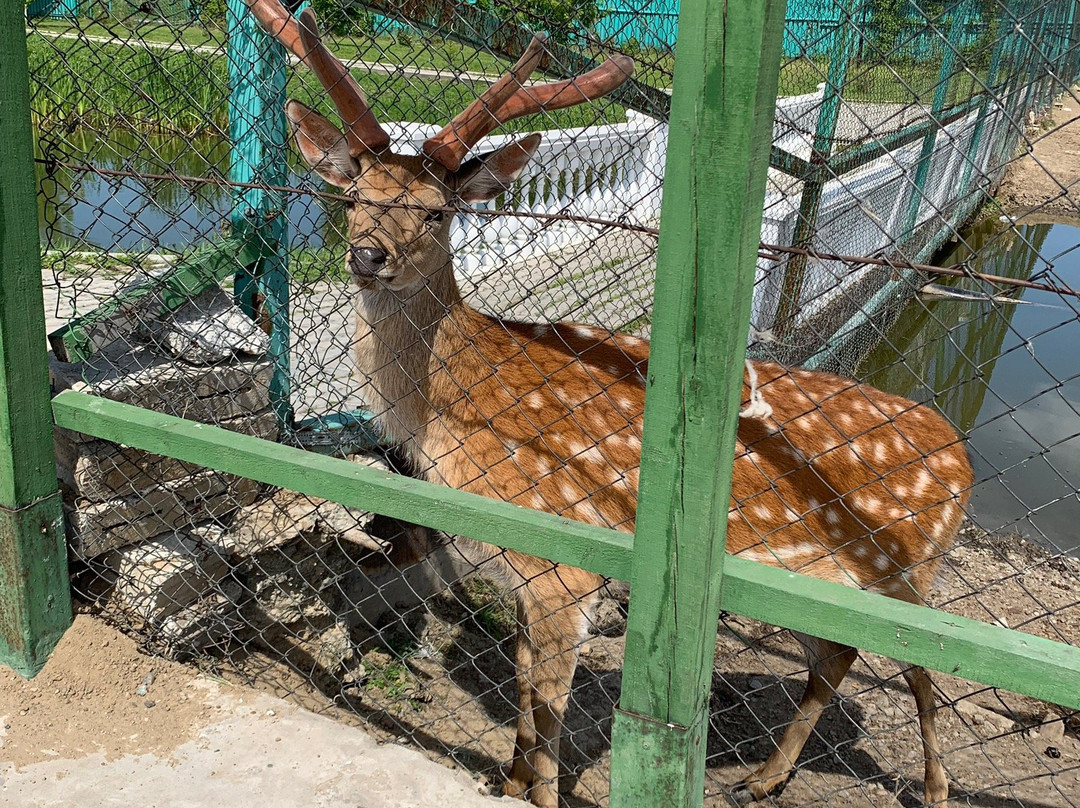 Aragon-哈巴罗夫斯克必去景点