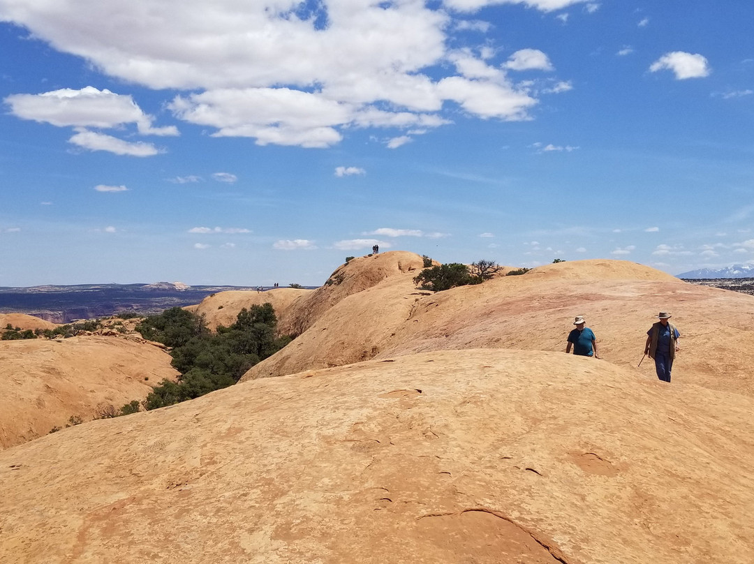 Whale Rock-峡谷地国家公园必去景点