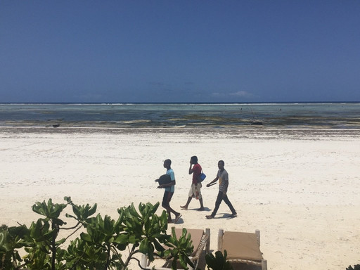 Zanzibar Sunrise At Bandas主图