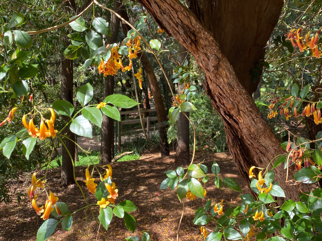 George Pentland Botanical Gardens景点图片