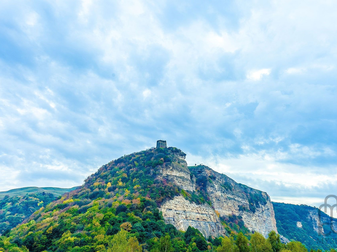 Adiyukh Watch Tower景点图片