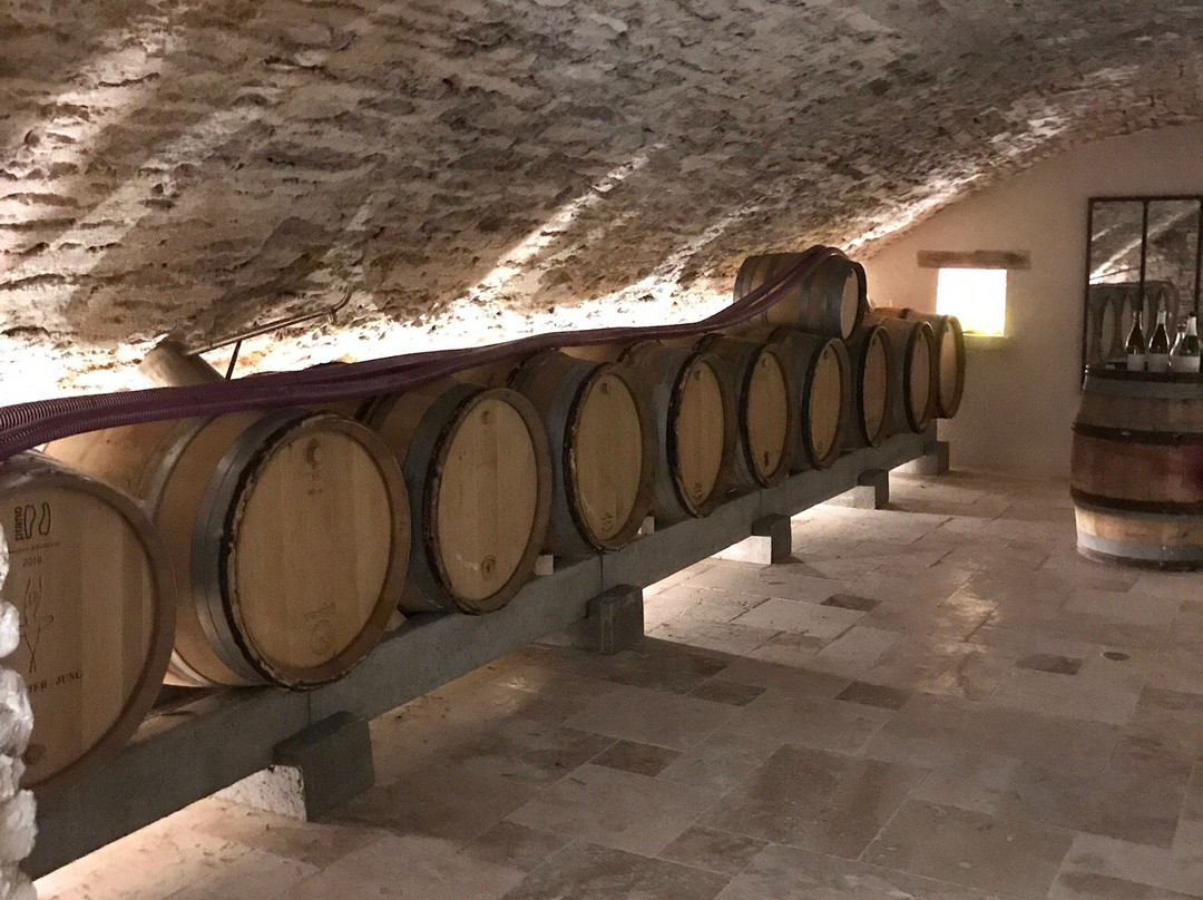 Vins Coudurier Jung景点图片