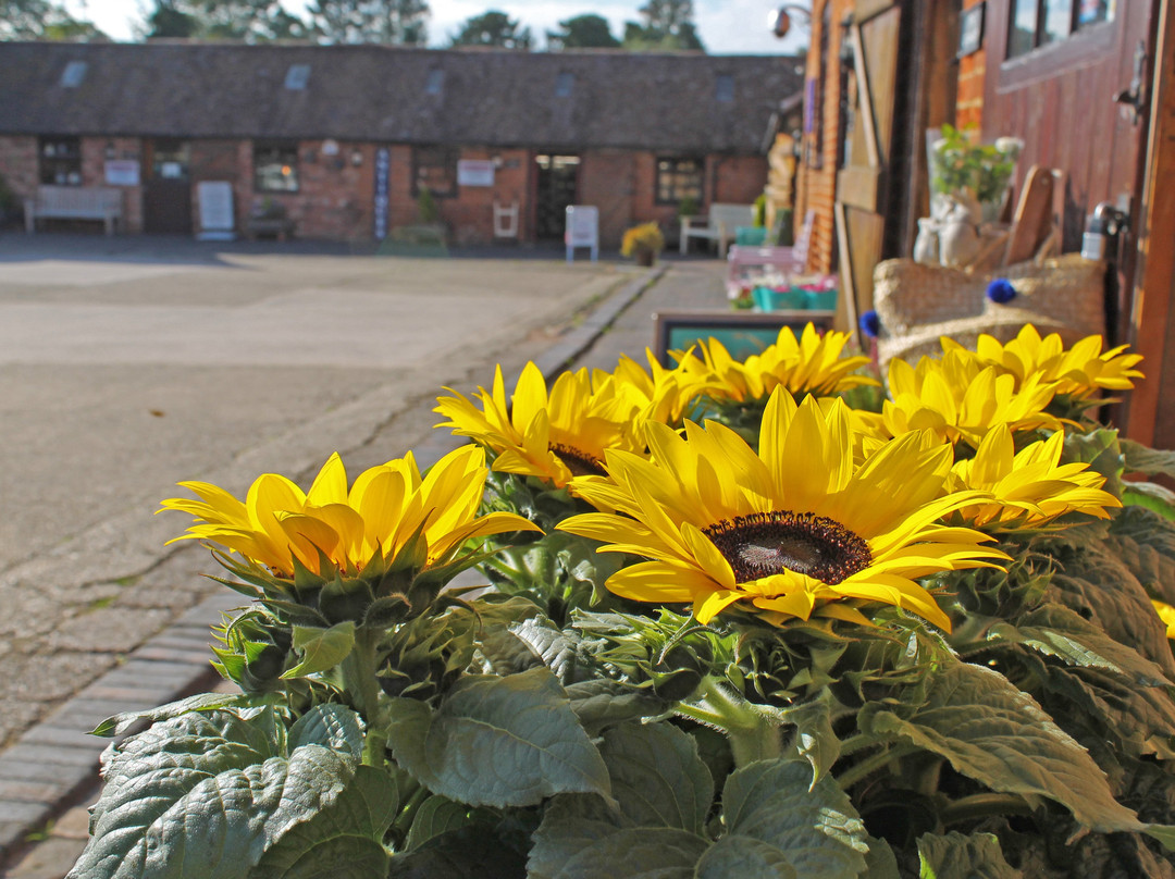Yew Tree Farm Shopping Village景点图片