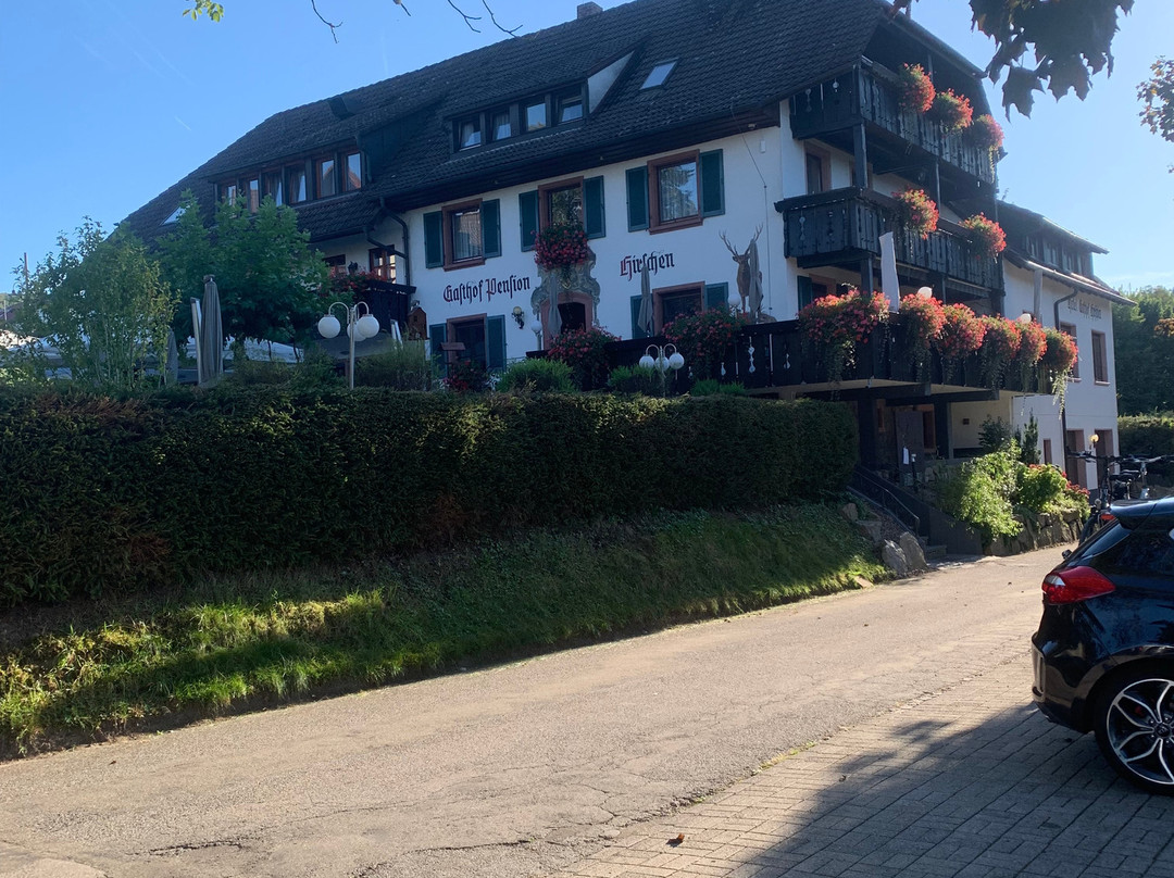 Gasthof Hotel Hirschen主图