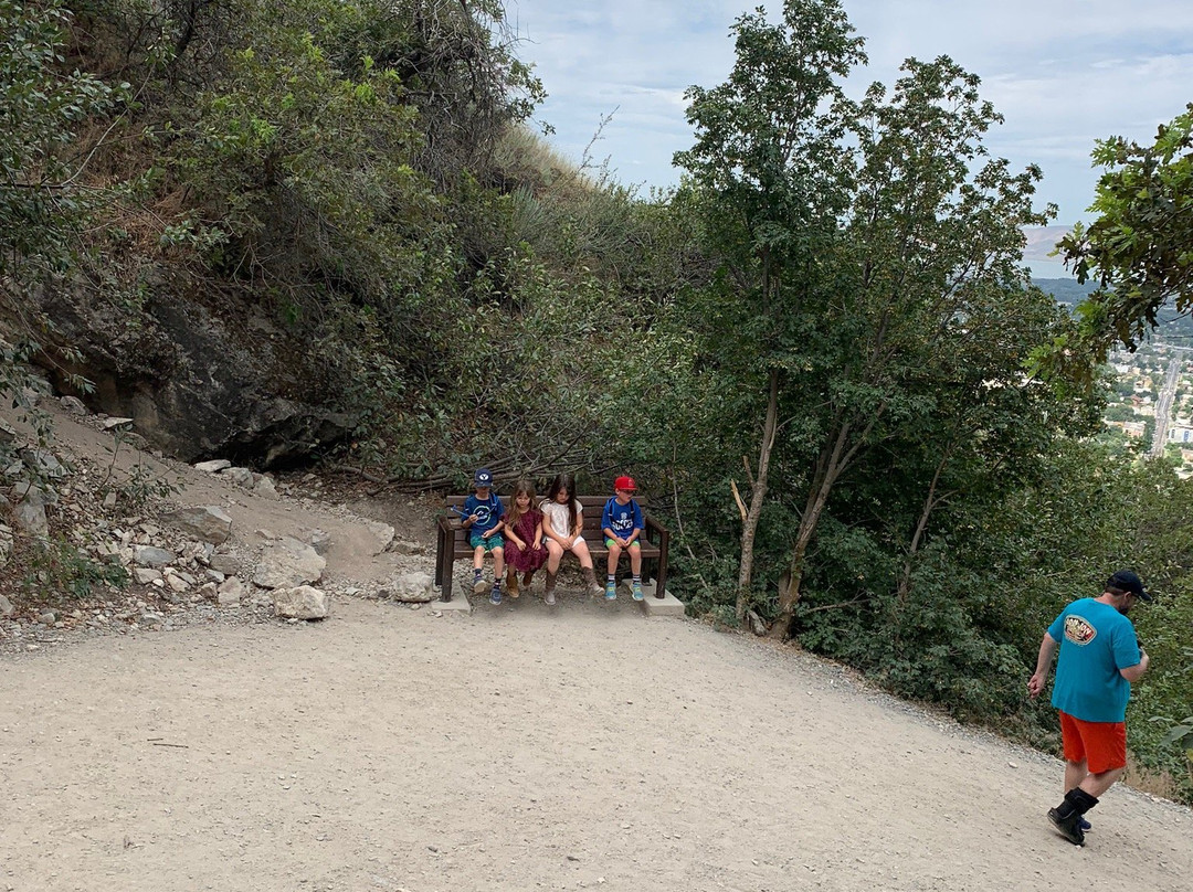 Hike The Y Trail-普若佛必去景点