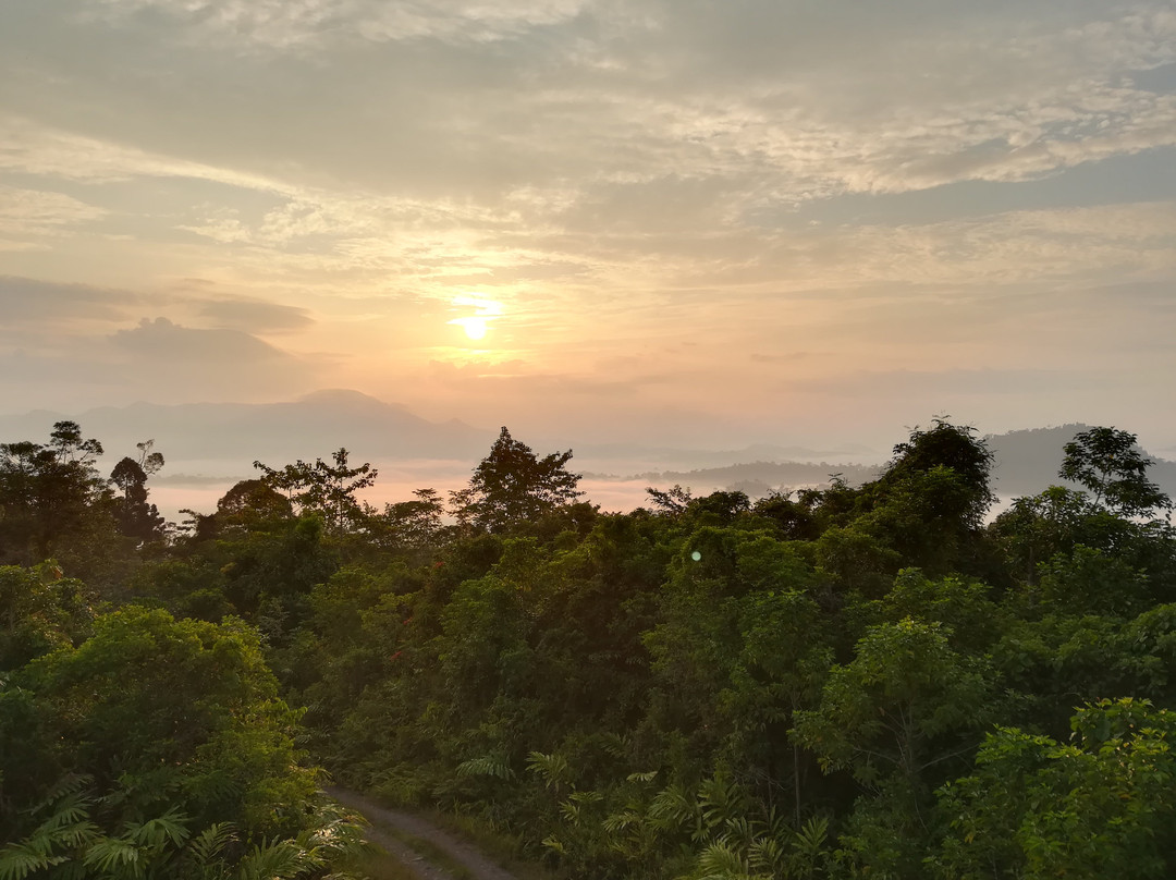 Inno Travel & Tour Services Sdn Bhd @ Sabah Holidays-亚庇必去景点