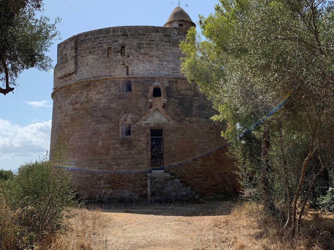 Torre Mayor景点图片
