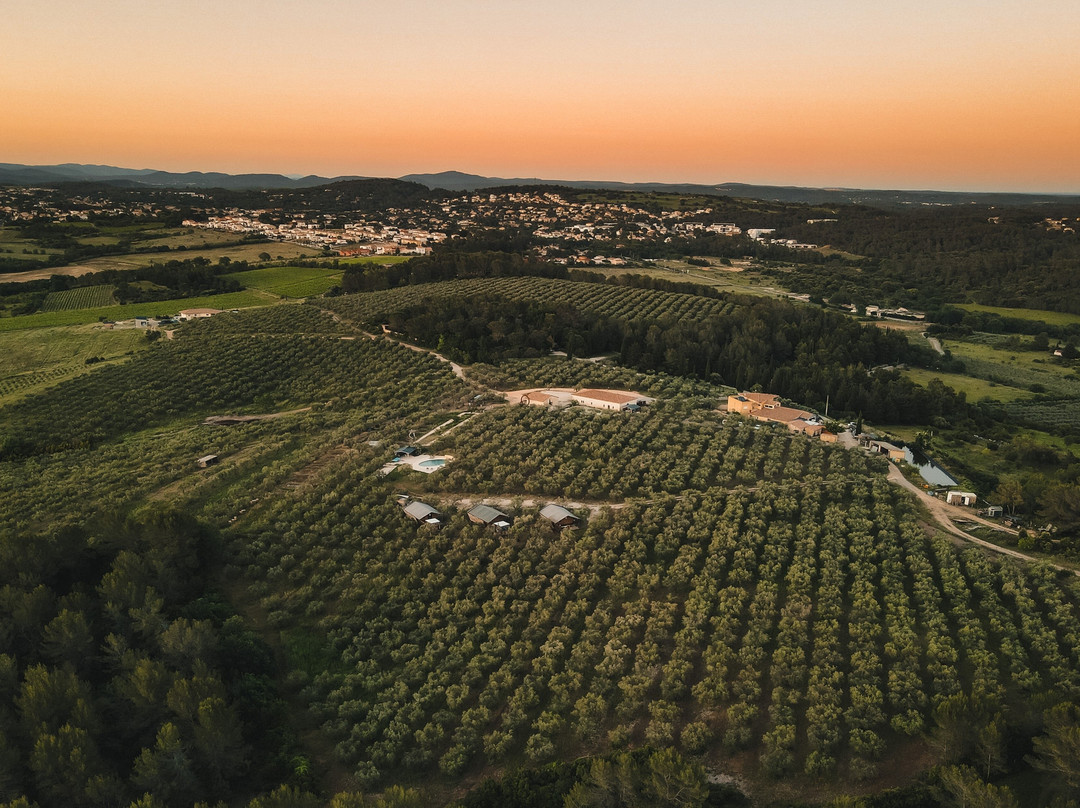 Domaine De L'oulivie景点图片