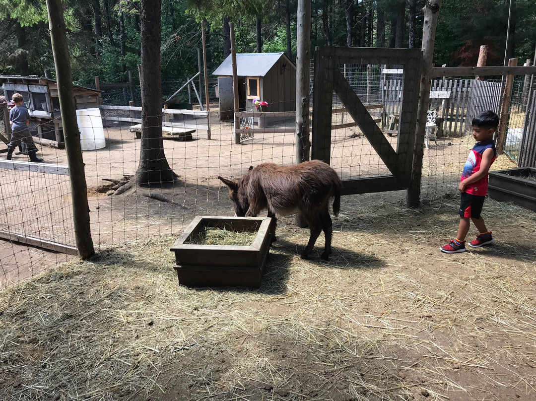 Mountain Creek Ranch-班克罗夫特必去景点