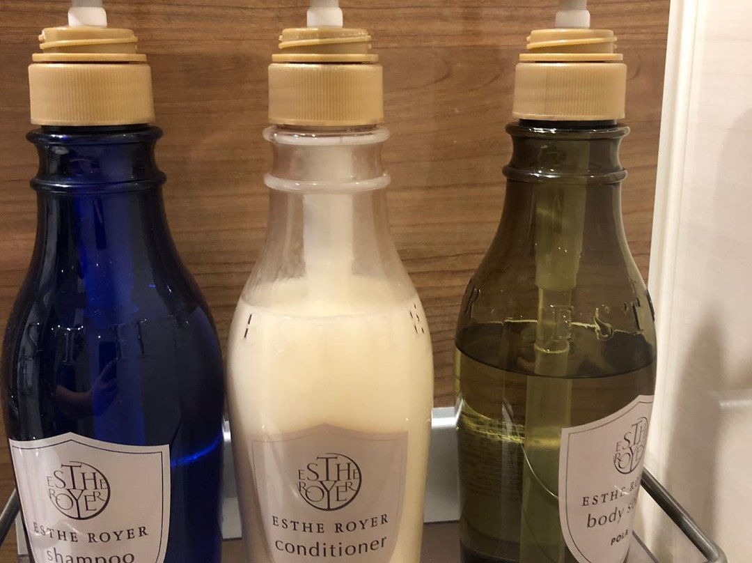 Candeo Hotels Tokyo Shimbashi主图