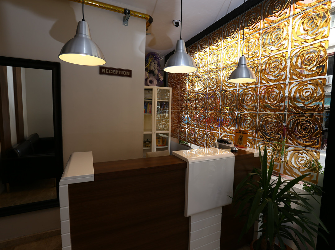 Tunalı Boutique Hotel主图