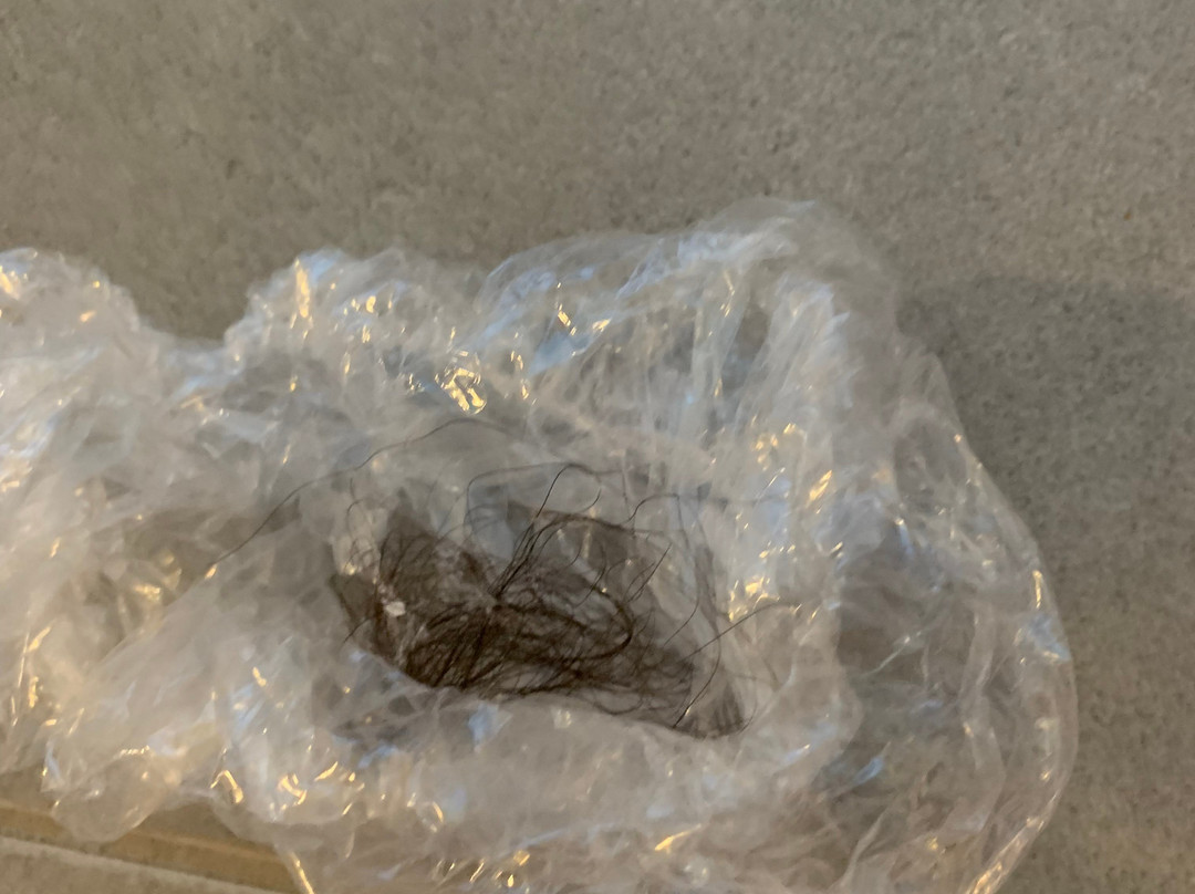 Bendigo Homestead Motor Inn & Apartments主图