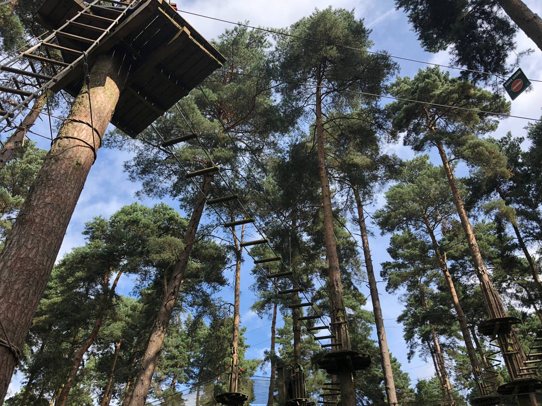 Go Ape Cannock景点图片
