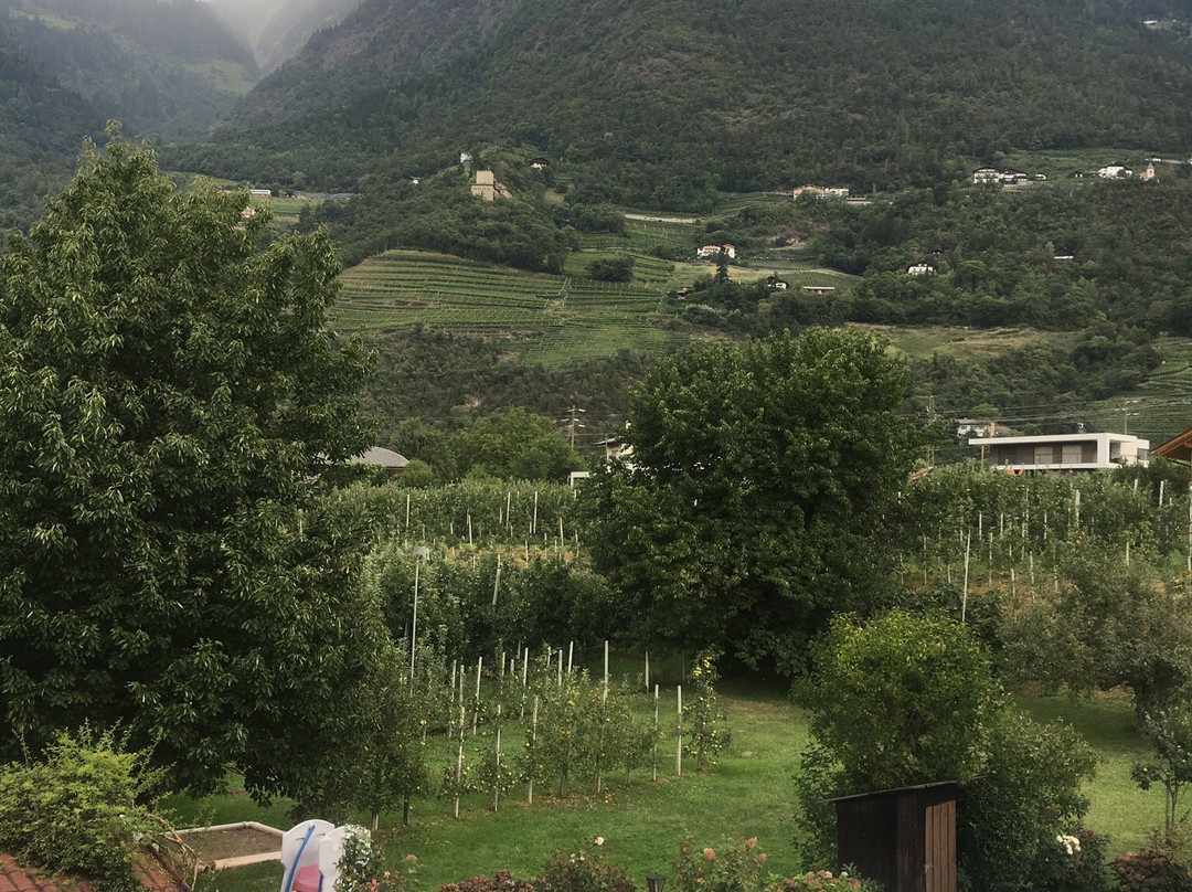 Residence Sonnengarten主图