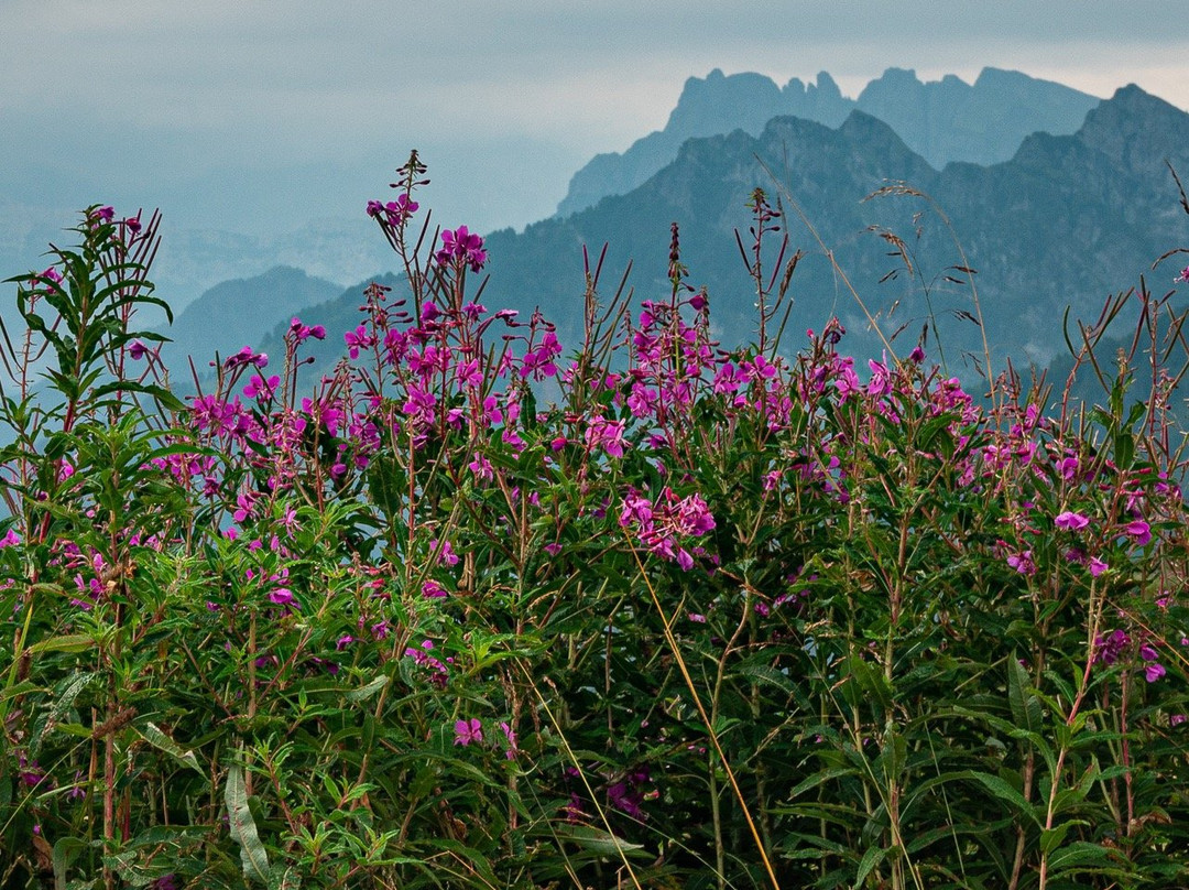 Rifugio Capanna Passo Valles主图