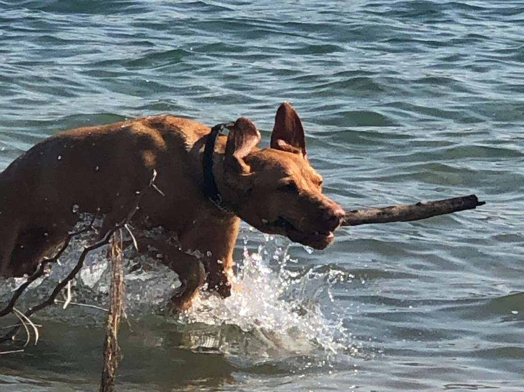 Sterkfontein Dam Nature Reserve-哈利史密斯必去景点