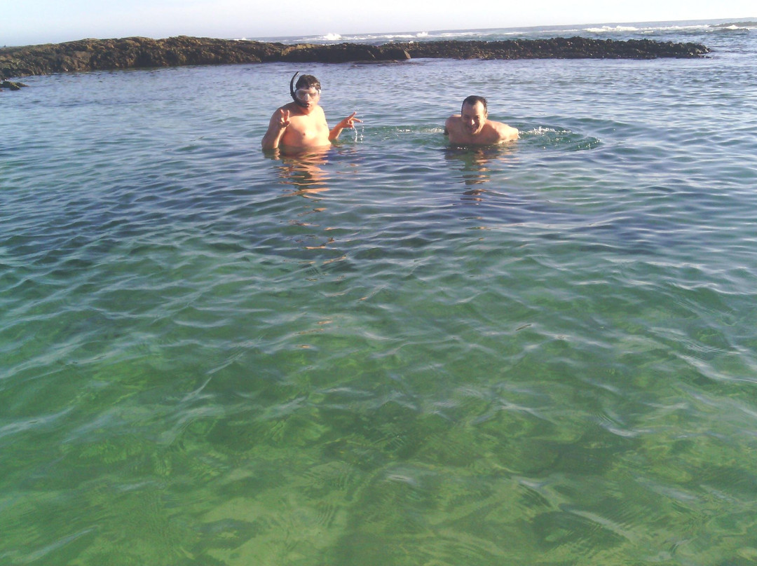 Guided Marine Tours - Port Elizabeth, South Africa-伊丽莎白港必去景点