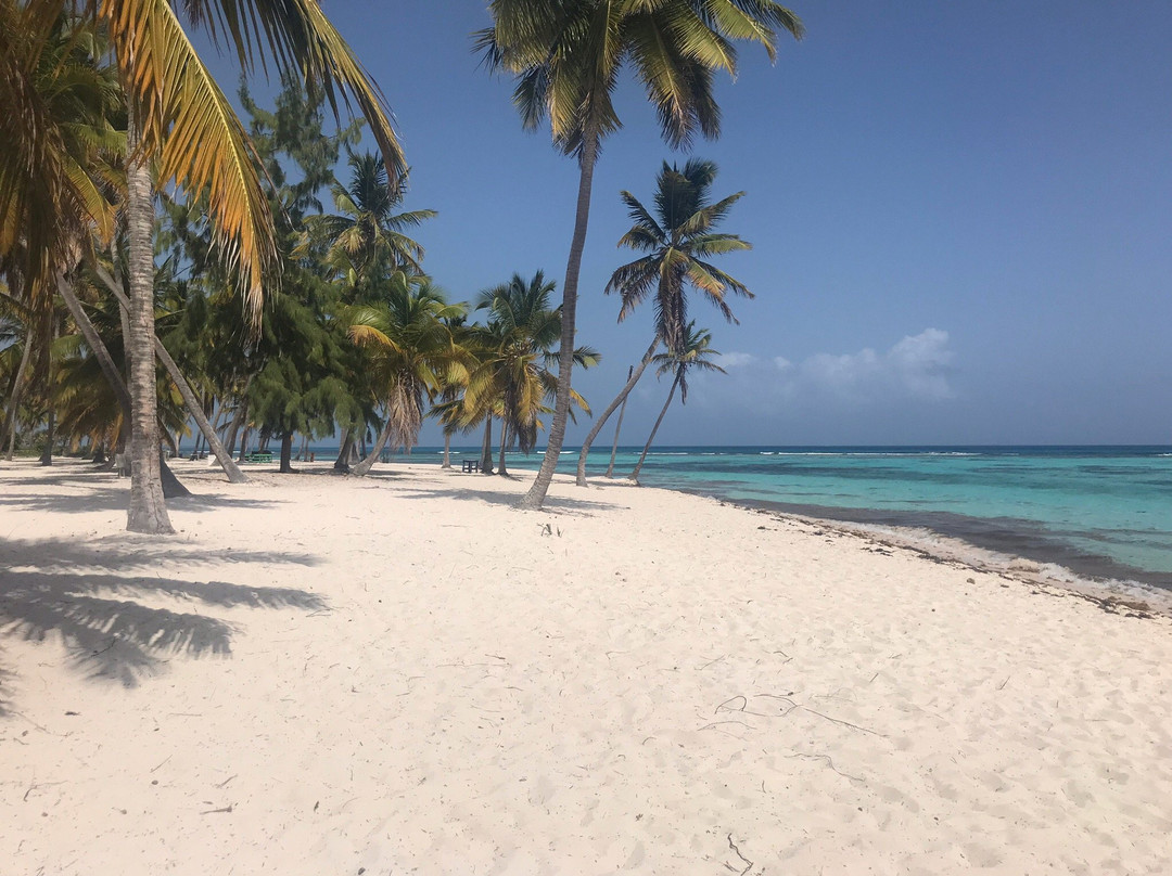 Dominicanvisit1-Bayahibe必去景点