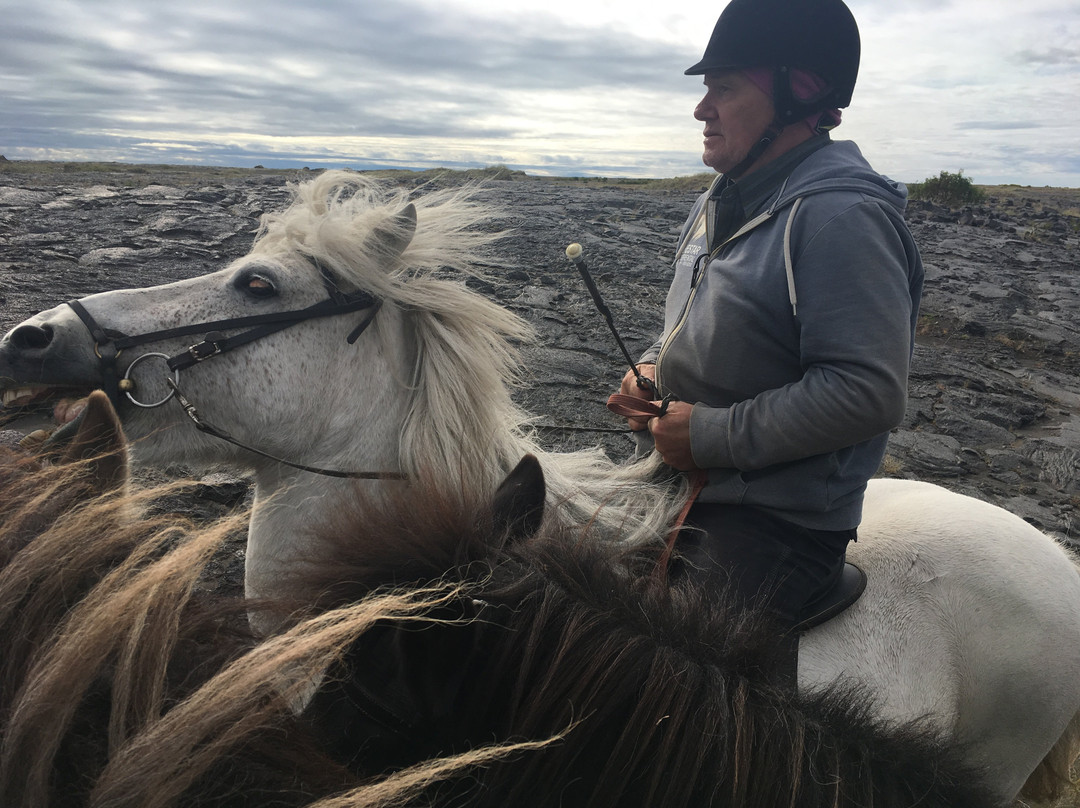 Alhestar Horse Rental and Tours-Thorlakshofn必去景点
