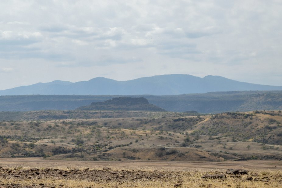 Lake Magadi Conservancy景点图片