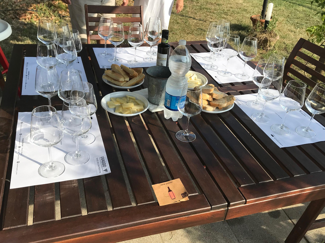 WINEAFTERWINE - Wine tasting e wine tours in Tuscany景点图片