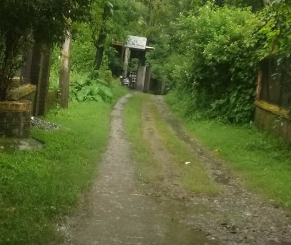 Midwood Breeze主图