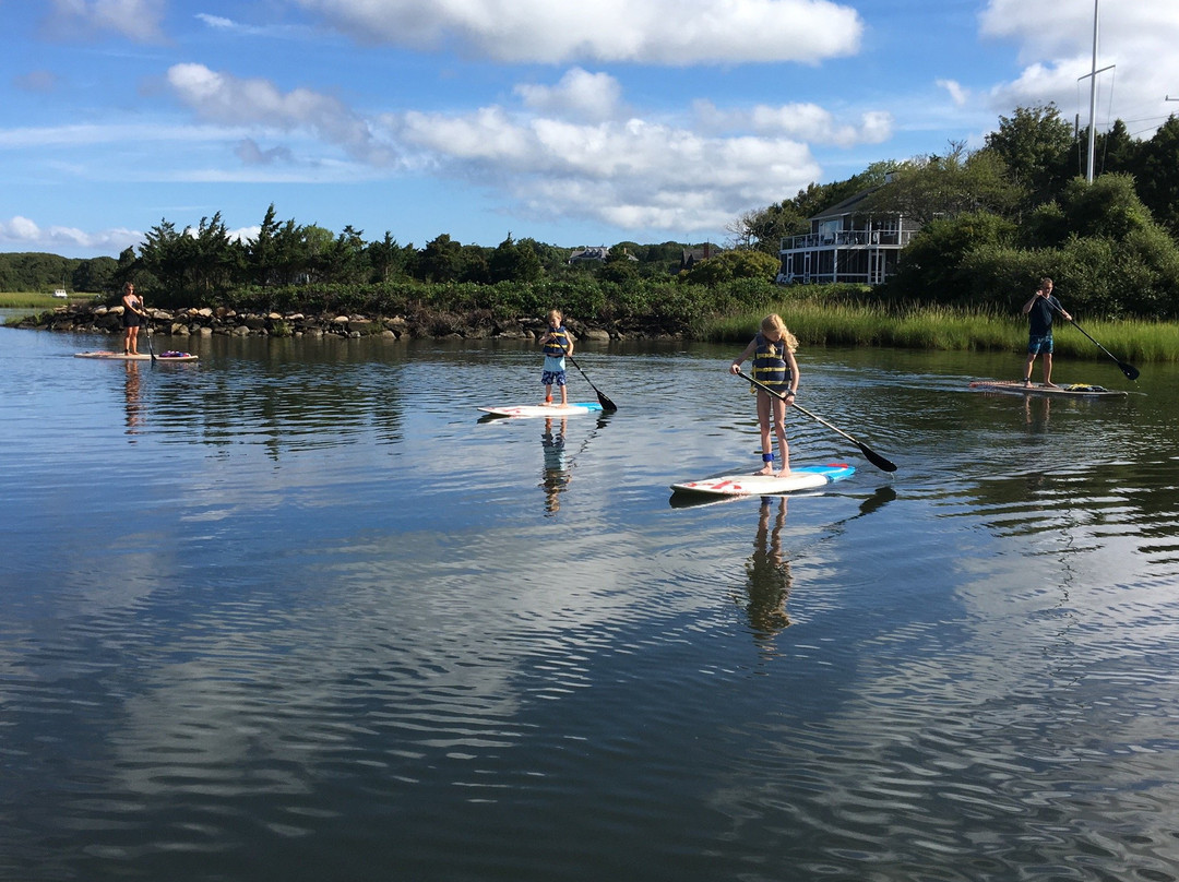 Aloha Paddle Martha's Vineyard景点图片