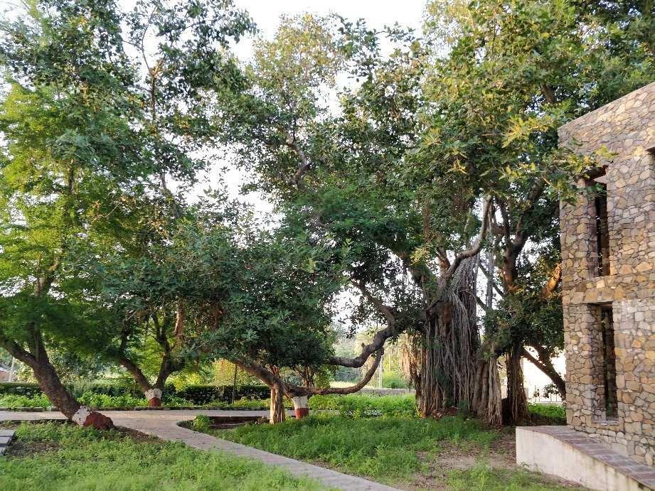 Kumbhariya Jain Temples景点图片