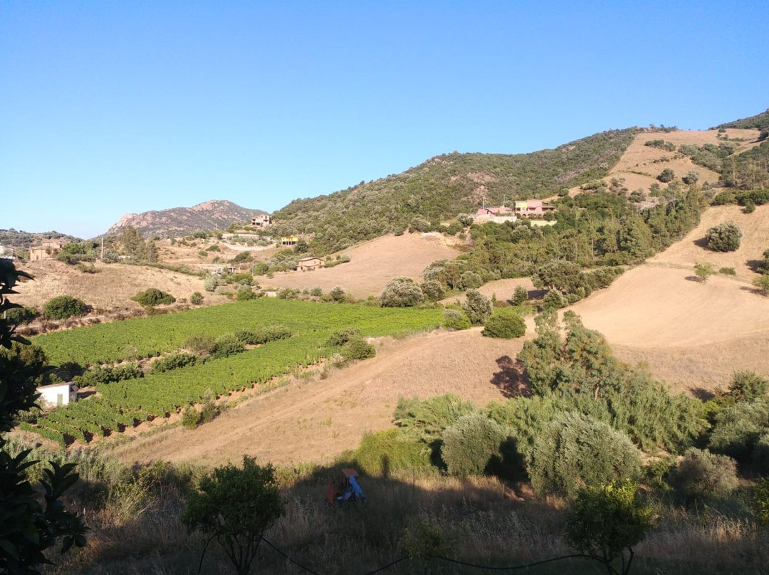 Agriturismo s'Orgiola主图