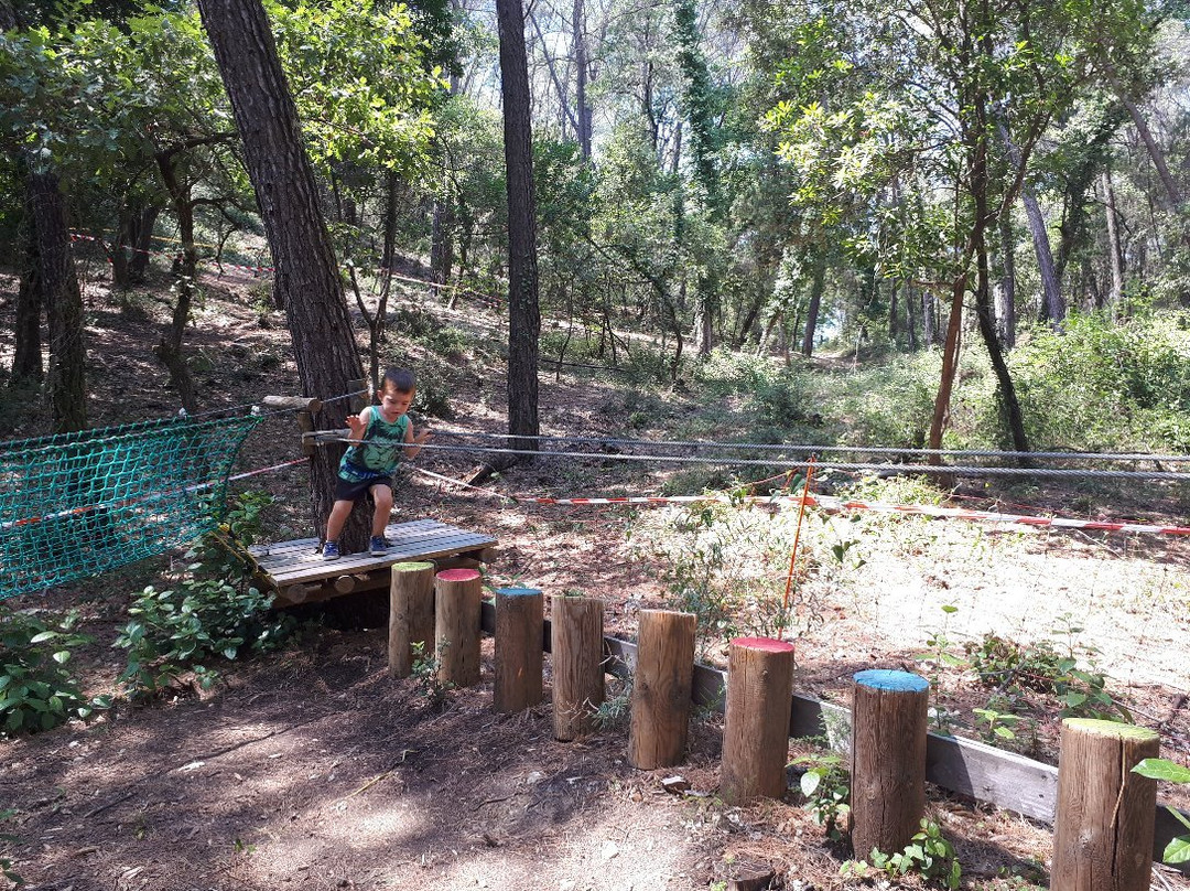 Parc aventure Flay Forest-Flayosc必去景点