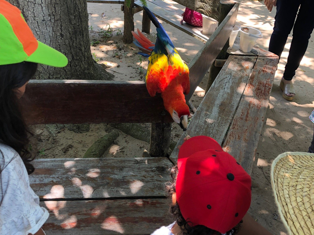 El Solar de Mao-Galapa必去景点