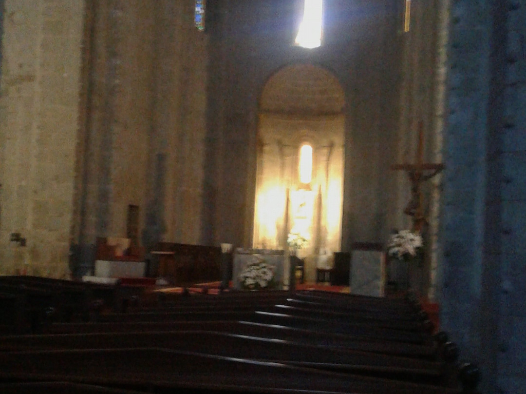 La Seu d'Urgell Cathedral景点图片